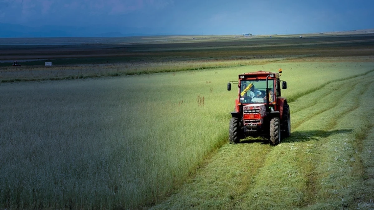 Tarımda maliyet artışı: Tarımsal girdi fiyat endeksi yıllık y&uuml;zde 31,55 y&uuml;kseldi
