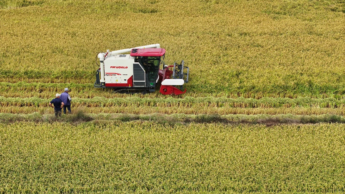 Yağışlarla birlikte tarımda rekolte beklentisi y&uuml;kseldi