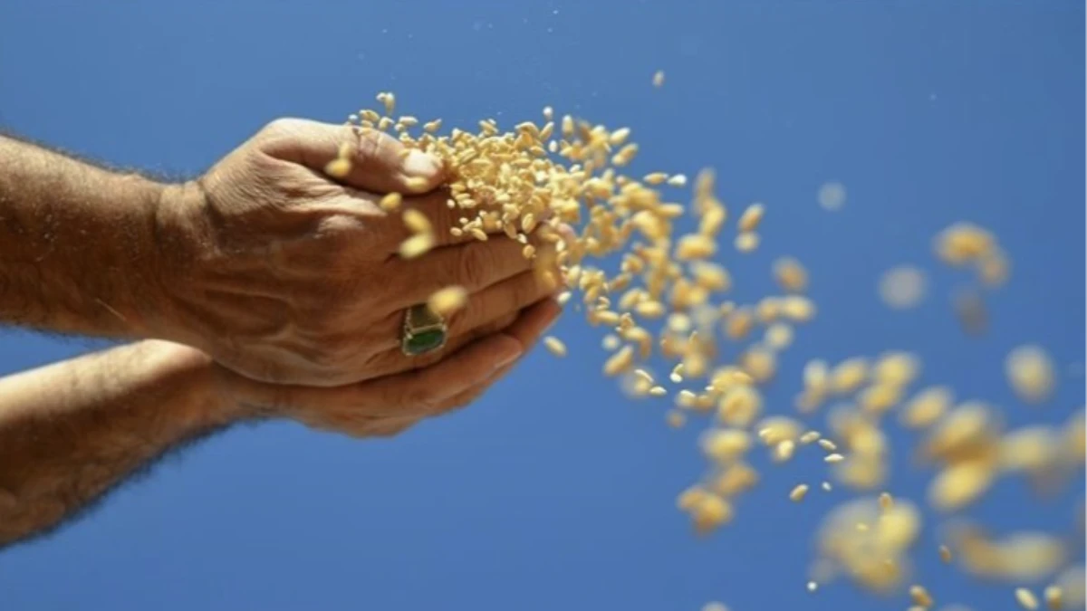 Enerji, g&uuml;bre ve gıda fiyatlarında H&uuml;rm&uuml;z riski: FAO&rsquo;dan sistemik şok uyarısı