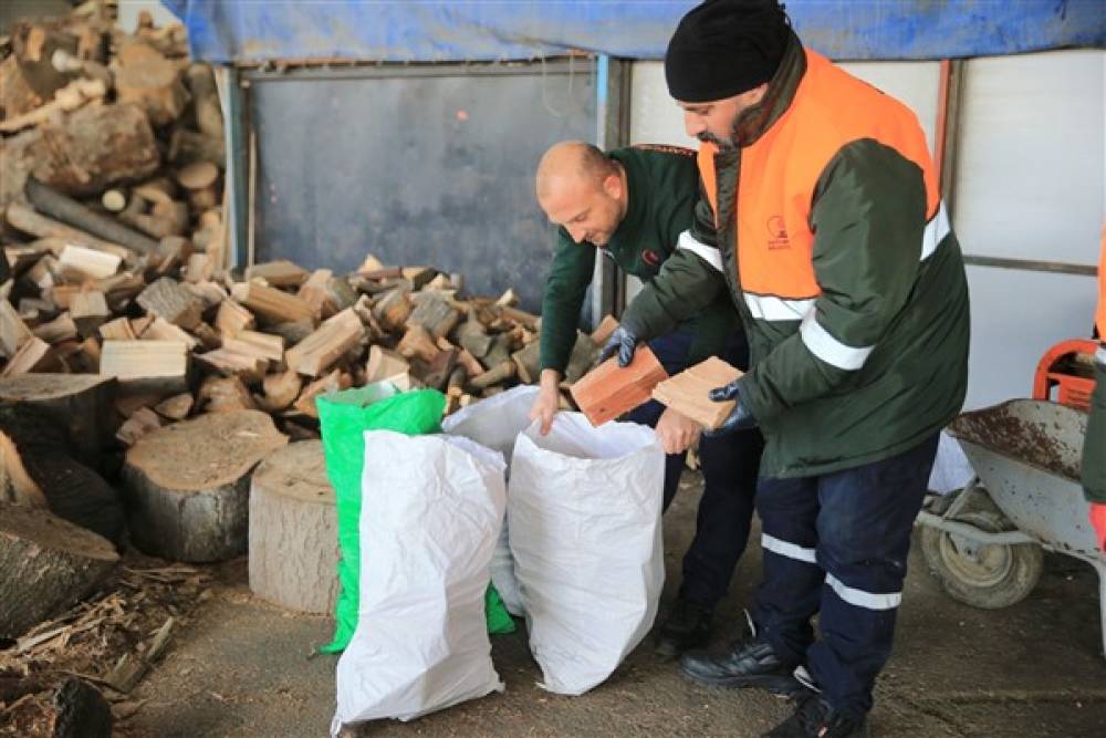 Bayrampaşa’da budanan ağaçlar dar gelirli vatandaşlara yakacak olarak dağıtıyor