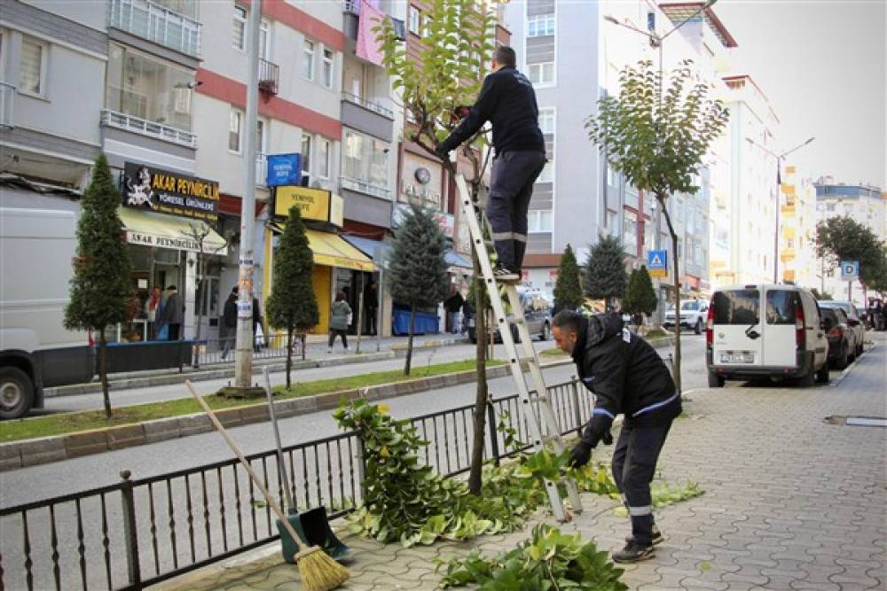 Giresun'da budama ve çevre düzenleme çalışmaları devam ediyor