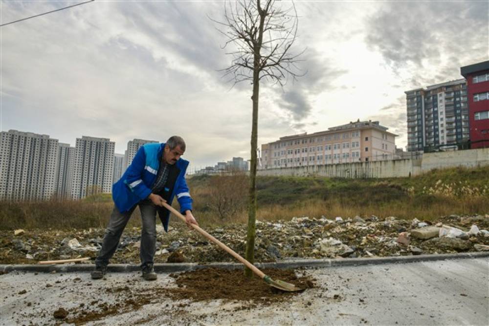 Esenyurt'un sokaklarında ağaçlandırma çalışmaları yapılıyor 