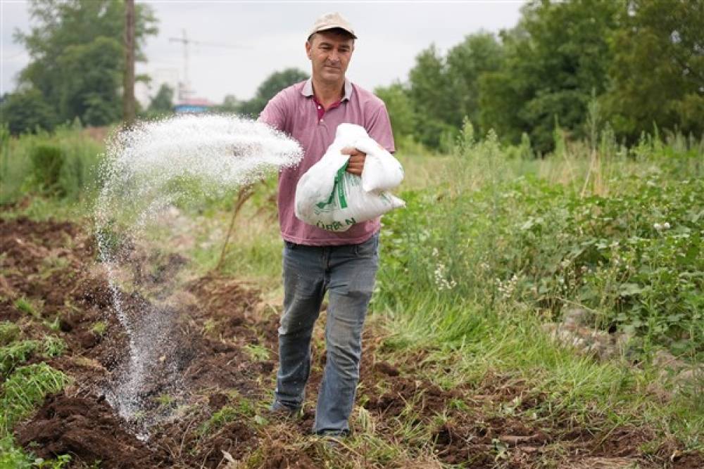 Efor Gübre Madencilik'in satışları