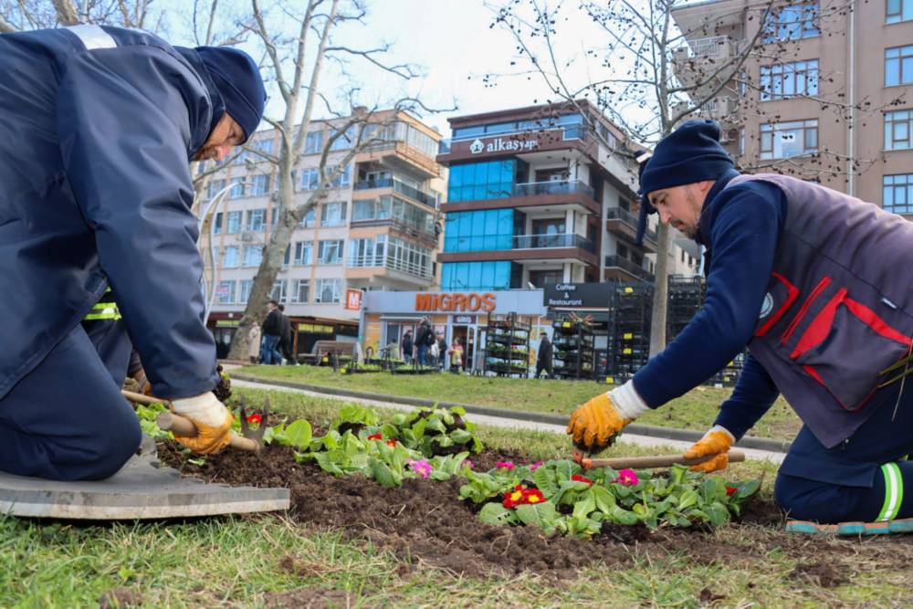 Yalova Akasya Park'ta çiçek ekimi 