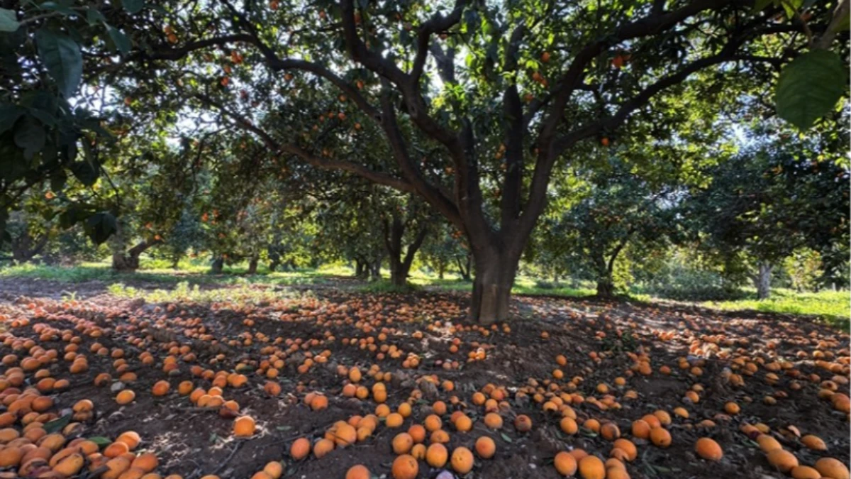 Turun&ccedil; Yolu g&ouml;rsel ş&ouml;len sunuyor: Fotoğraf tutkunlarının yeni adresi