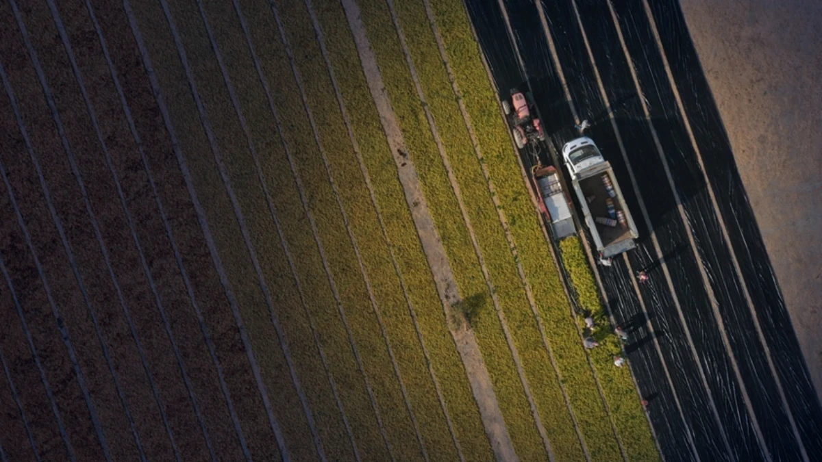 &Ccedil;ift&ccedil;i ve esnafa y&ouml;nelik d&uuml;ş&uuml;k faizli finansman paketi: İşte 5 soruda yeni d&uuml;zenleme...