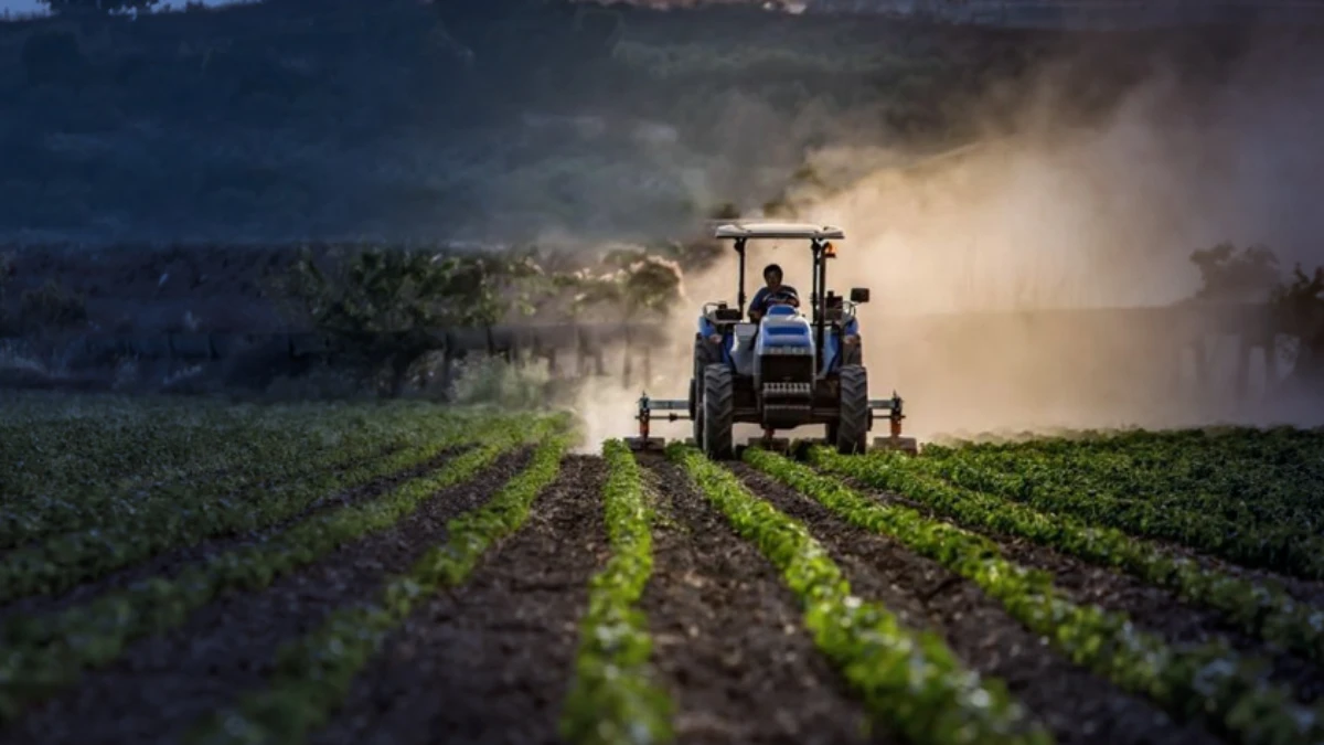 Tarımsal &uuml;retimde yağış bereketi: &Uuml;lke genelinde tarımsal risk &ouml;ng&ouml;r&uuml;lm&uuml;yor