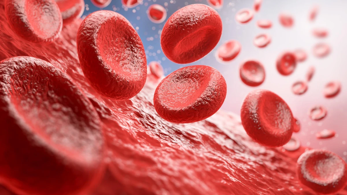 Sağlık teknolojilerinde devrimsel buluş: Kan k&ouml;k h&uuml;creleri gen&ccedil;leştiriliyor