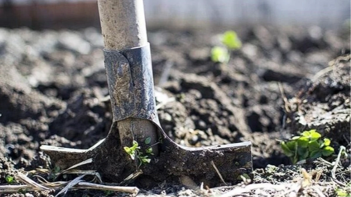 SON DAKİKA: Resmi Gazete&rsquo;de yayımlandı: G&uuml;brede vergi indirimi y&uuml;r&uuml;rl&uuml;kte