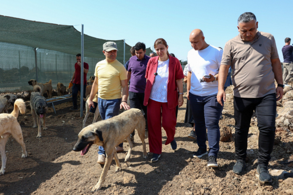 Bucak, Doğal Yaşam Alanı&rsquo;nda incelemelerde bulundu