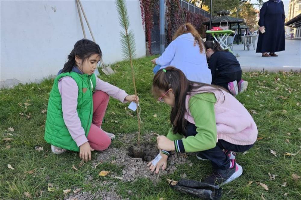 Çankırı'da çocuklar Cumhuriyet'in 101. yılı anısına fidan dikti