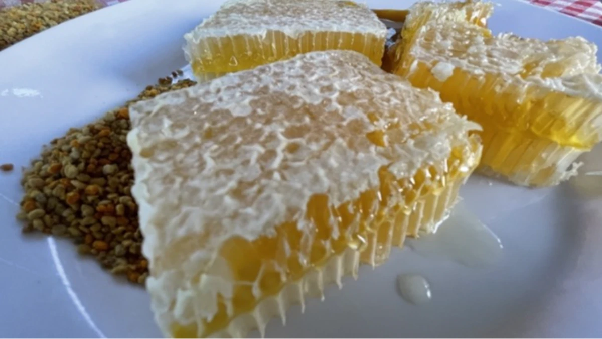 AB'den coğrafi işaretini aldı! Şimdi markalaşma yolunda