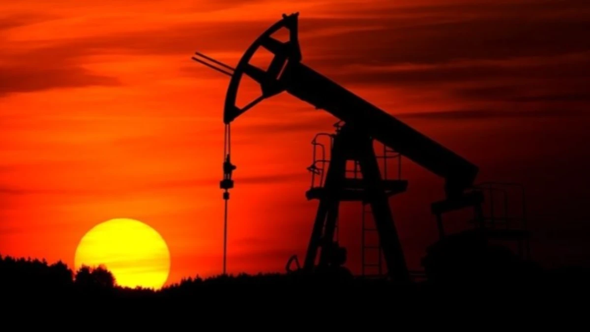 Polonya&rsquo;dan akaryakıta vergi indirimi