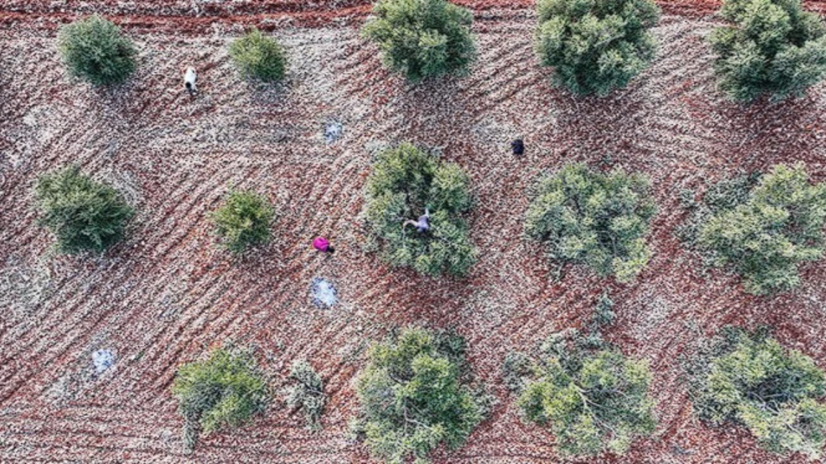 9 ilde ekonomik d&ouml;n&uuml;ş&uuml;m: Teşviklerle sanayi ve tarım g&uuml;&ccedil;lenecek