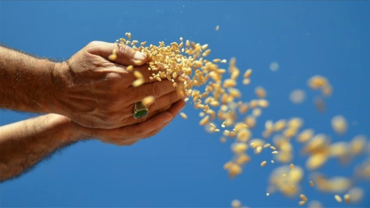 FAO: H&uuml;rm&uuml;z Boğazı'ndaki kesinti gıda g&uuml;venliğini tehdit ediyor