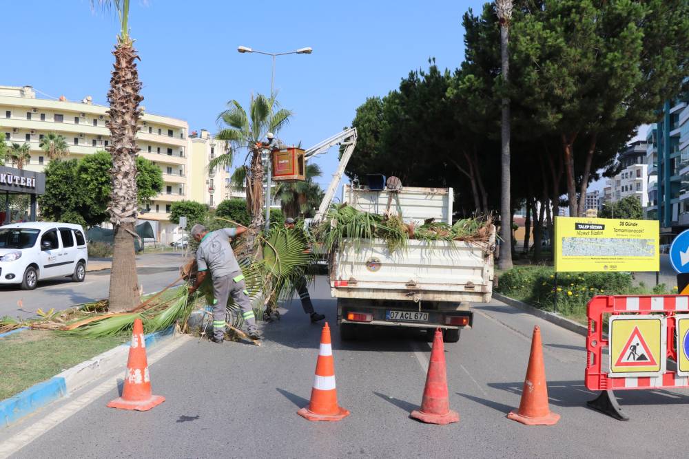 Alanya&rsquo;da park ve yeşil alanlarda bakım &ccedil;alışmaları s&uuml;r&uuml;yor