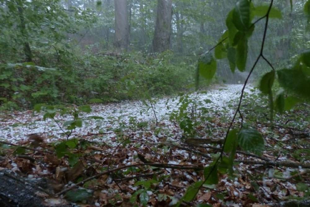 Meteoroloji'den kuvvetli yağış uyarısı