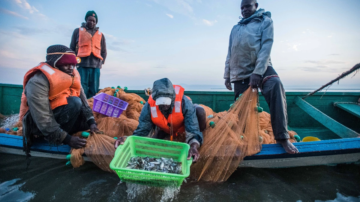 Doğu Afrika&rsquo;nın b&uuml;y&uuml;yen pazarı Kenya&rsquo;da yeni fırsatlar