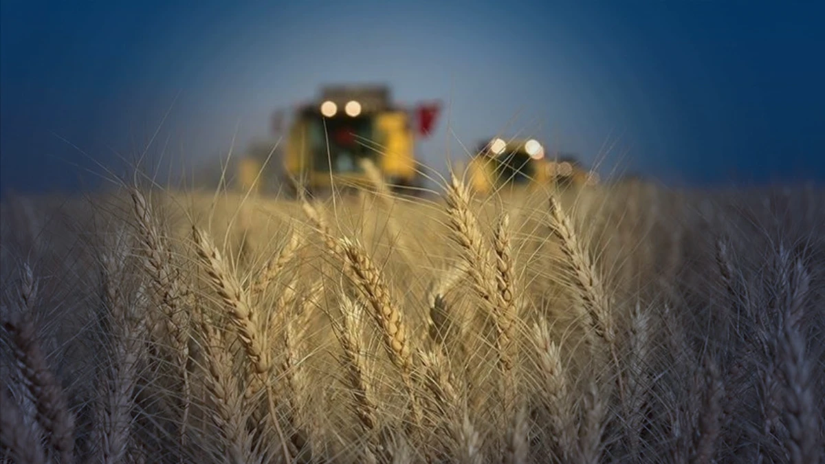 T&Uuml;İK verileri: T&uuml;rkiye tarımda hangi &uuml;r&uuml;nde kendine ne kadar yeterli?