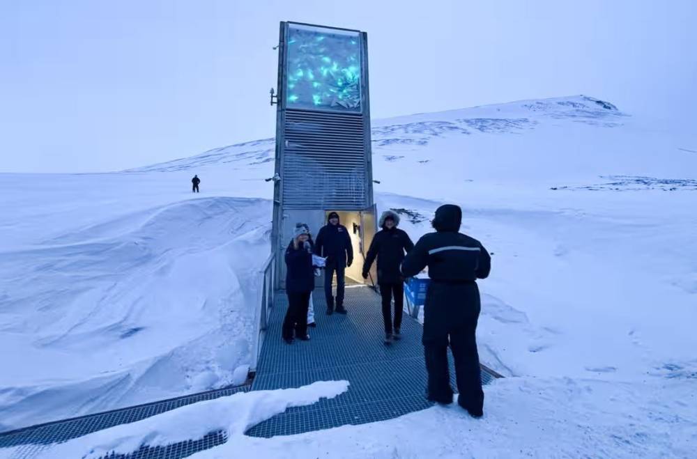 Afrika tohumları güvenli bir şekilde Norveç'te saklanacak