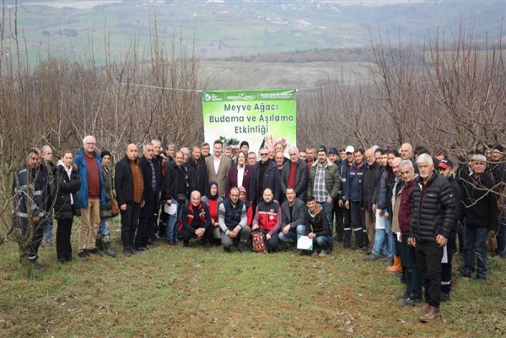 İzmit Belediyesi'nden üreticilere Meyve Ağacı Budama ve Aşılama Eğitimi 