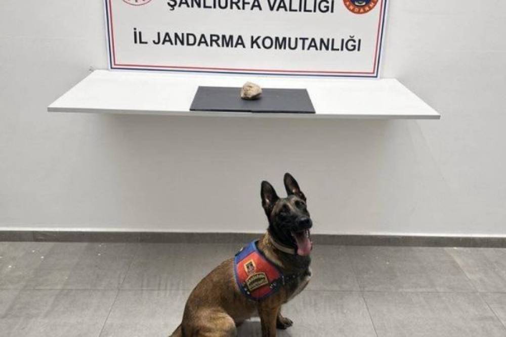 Şanlıurfa&rsquo;da uyuşturucu operasyonu: 1 tutuklama