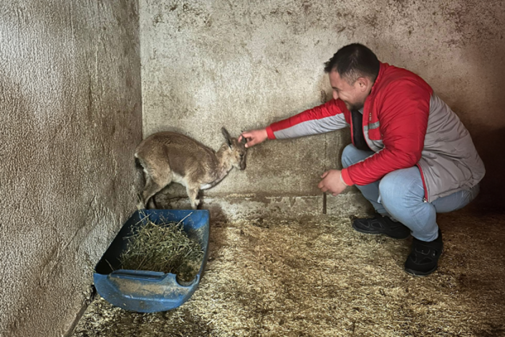 KKM'den &ccedil;ıkış s&uuml;r&uuml;yor: Bakiye 3 milyar 146 milyon lira oldu