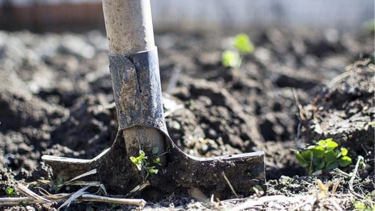 K&uuml;resel g&uuml;bre krizinde alarm: H&uuml;rm&uuml;z kaynaklı tedarik daralması derinleşiyor