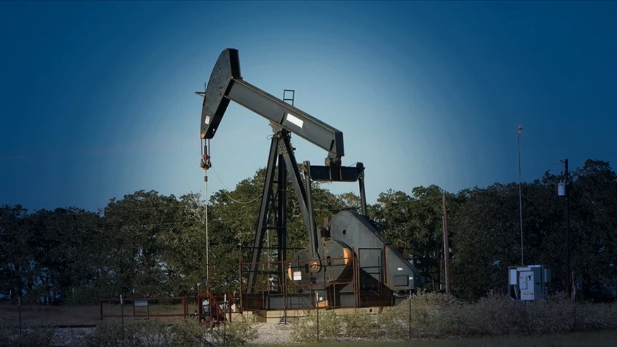 OPEC 2025 verilerini paylaştı: K&uuml;resel ham petrol &uuml;retimindeki payı %36,7 oldu