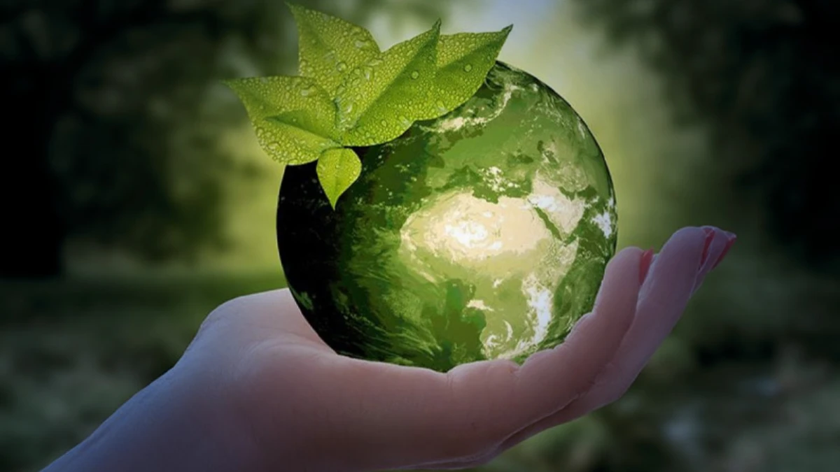 Bug&uuml;n 30 Mart Uluslararası Sıfır Atık G&uuml;n&uuml;