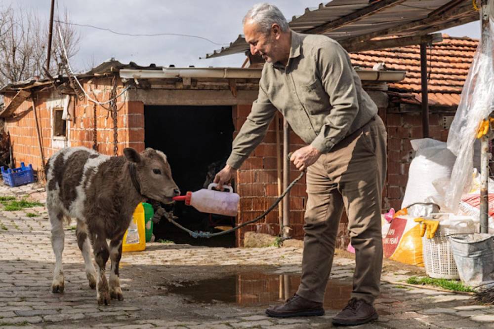 Konut kredilerinde değişiklik: Birinci-ikinci el ayrımı kaldırıldı, azami kredi tutarı y&uuml;kseltildi