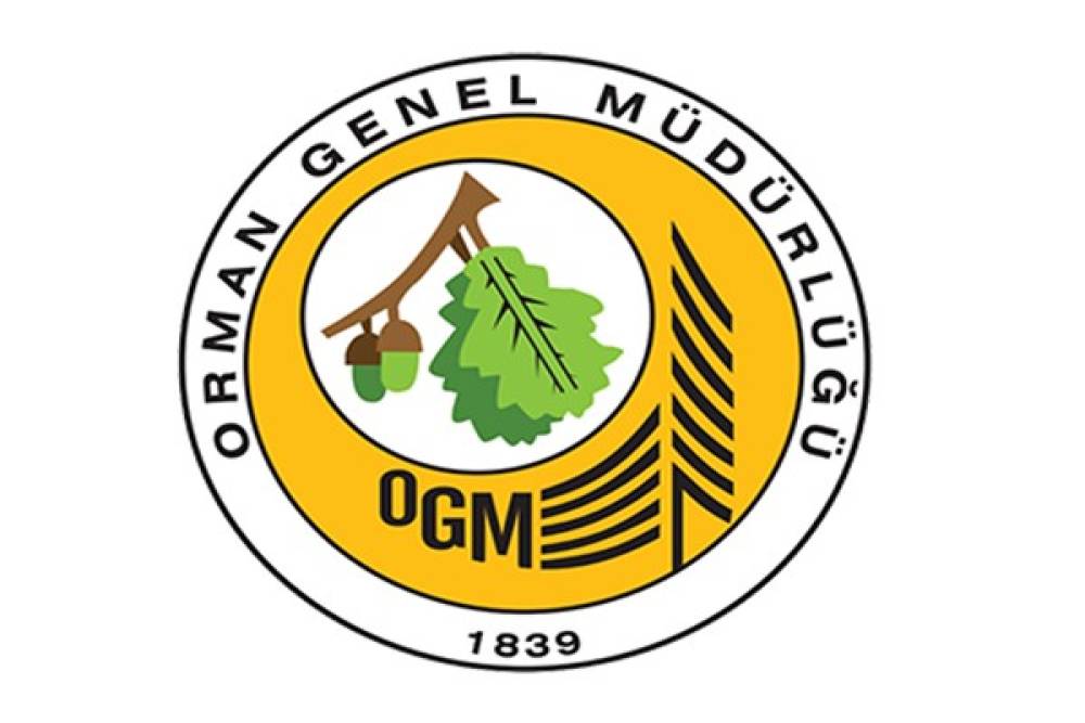 OGM: Balıkesir ve İzmir'deki yangınlara m&uuml;dahale s&uuml;r&uuml;yor