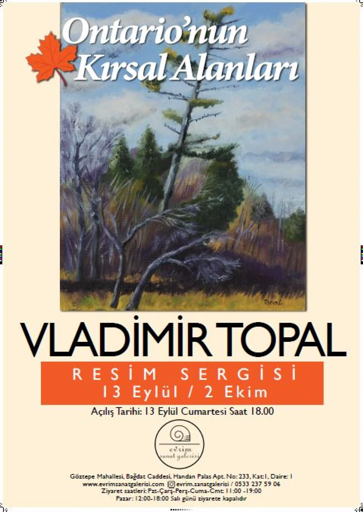 VLADİMİR TOPAL Resim Sergisi 13 Eyl&uuml;l / 02 Ekim 2025  istanbul da a&ccedil;ıldı